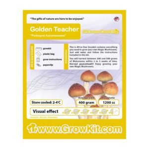 Golden Teacher Paddo Growkit