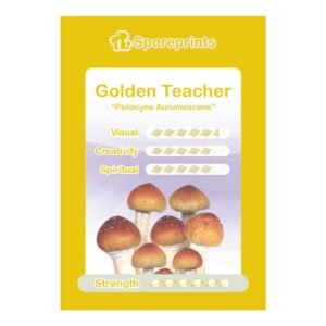 Golden Teacher Sporeprint