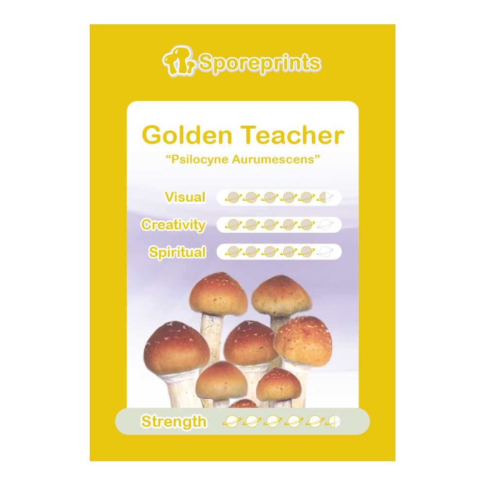 Golden Teacher Sporeprint