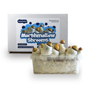 Marshmallow Shrooms Growkit – 1200 cc