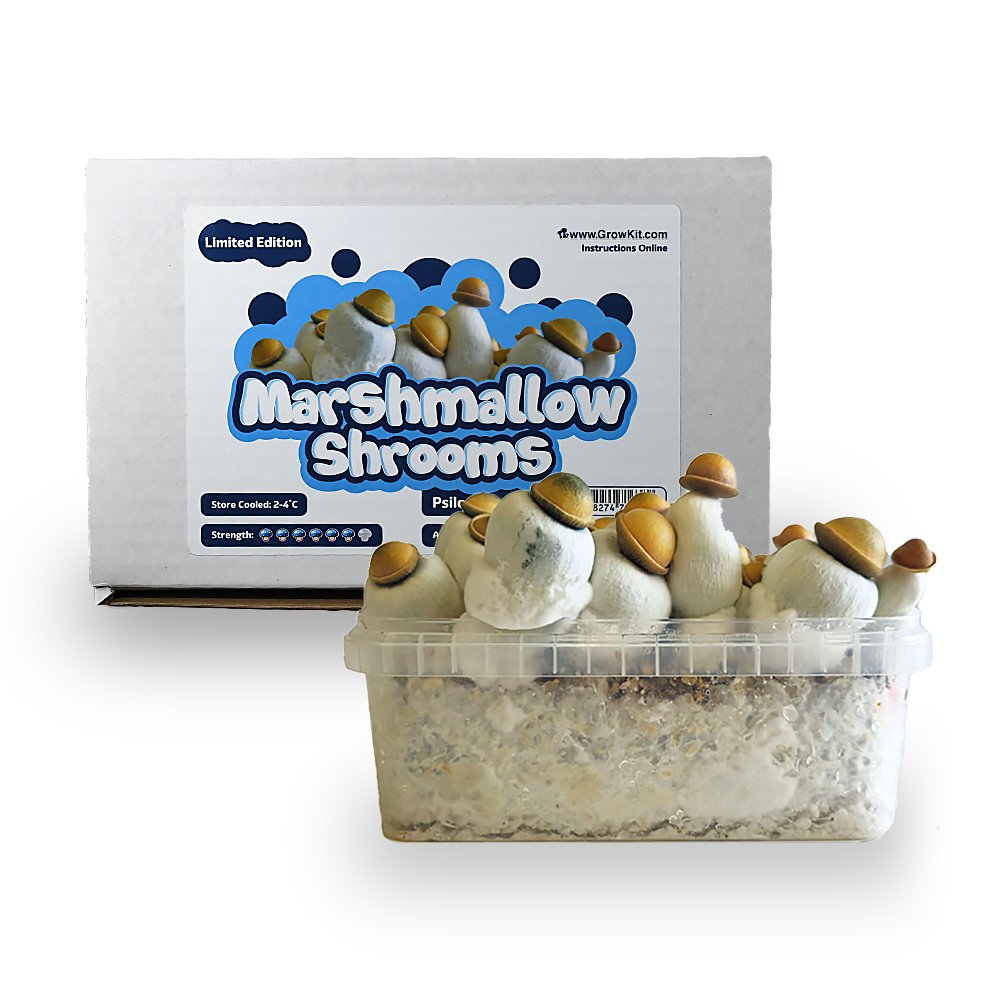 Marshmallow Shrooms Growkit – 1200 cc