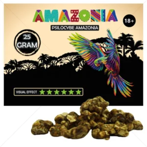 Psilocybe Amazonia Truffels (25 gram)