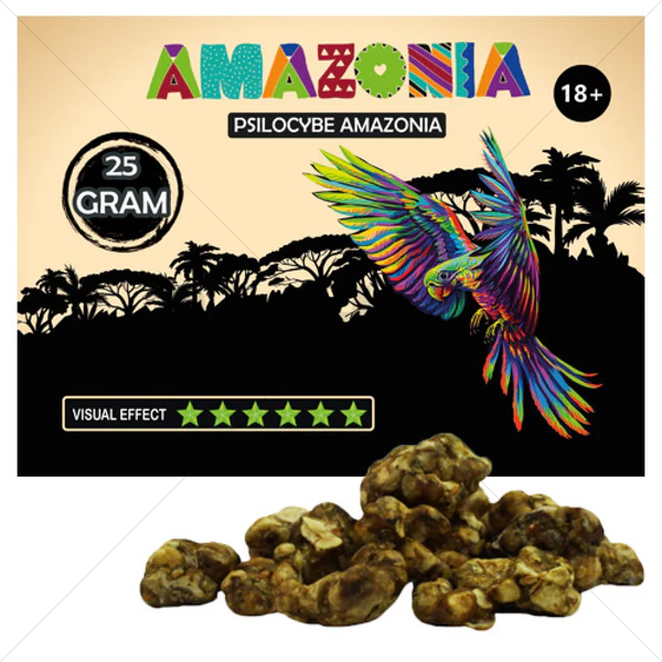 Psilocybe Amazonia Truffels (25 gram)