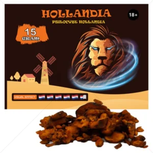 Psilocybe Hollandia Truffels (15 gram)