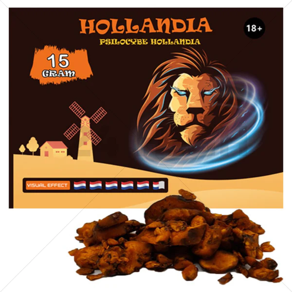 Psilocybe Hollandia Truffels (15 gram)