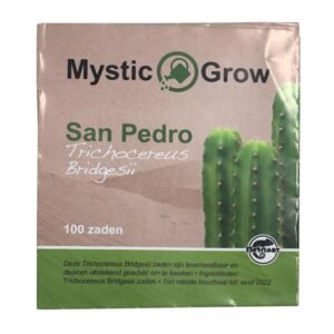San Pedro T. Bridgesii Zaden (100 stuks)